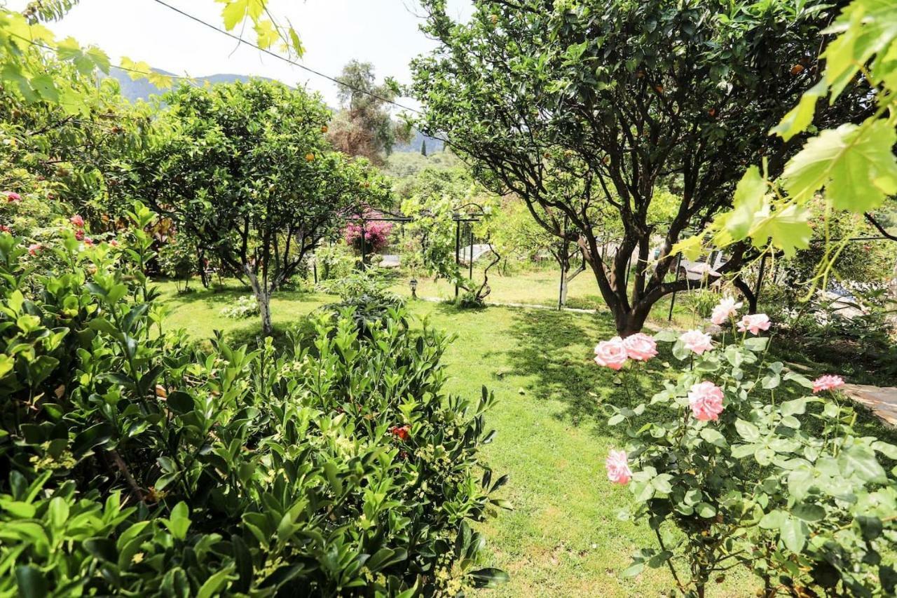 Affittacamere Garden House Kastellani Kastellanoi  Esterno foto