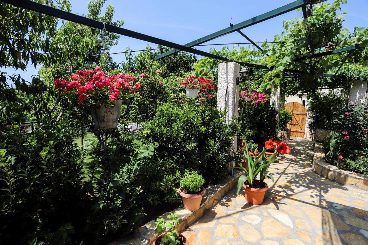 Affittacamere Garden House Kastellani Kastellanoi  Esterno foto
